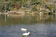 八景水谷公園