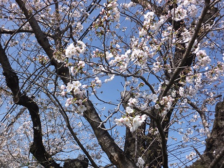 DSCF5212.JPG