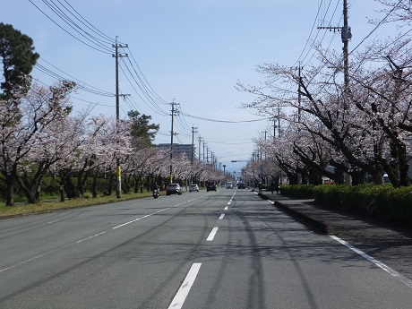 DSCF5214.JPG